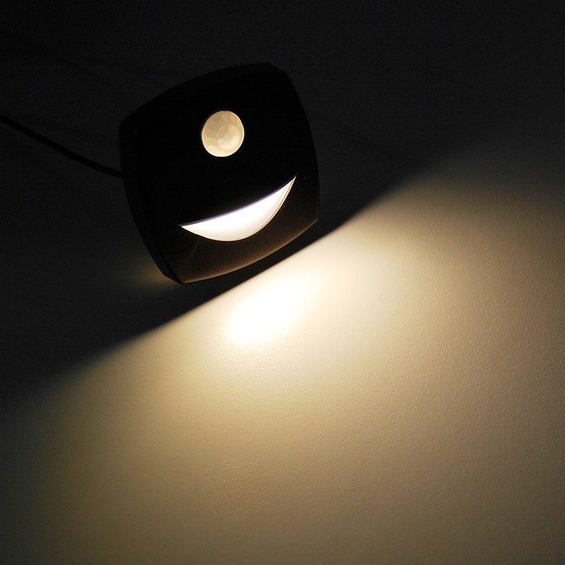 Dream Lighting LED RV Courtesy Motion Sensor Step Light